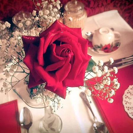 Inishross House Bed & Breakfast New Ross