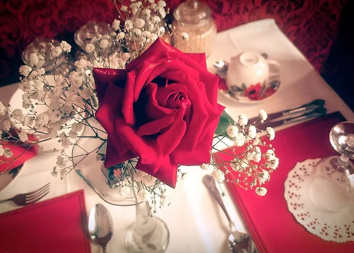 Inishross House 住宿加早餐酒店 新罗斯